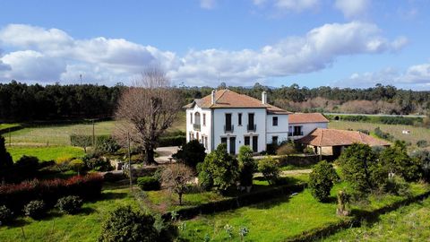 Welcome to Quinta do Assis, a hidden treasure in Tondela offering a charming setting and extraordinary potential for various ventures. This estate is an invitation to create a local accommodation business, unforgettable events, or even to fulfill the...