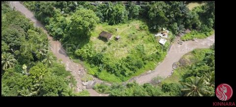 Geweldig perceel met uitzicht op de rivier in UbudFreehold: IDR 750,000,000 / areDit geweldige perceel ligt direct naast de prachtige Ayung-rivier in Sayan, Ubud. Het ligt in het topgebied, dicht bij vele 5-sterrenresorts en andere toeristische attra...