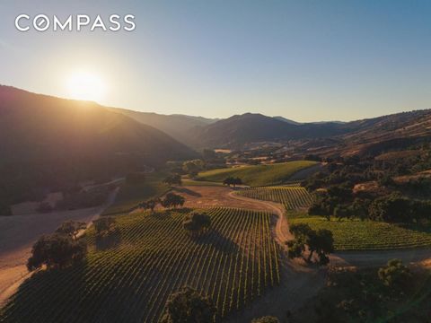 Plantado em 1990, o vinhedo fica em colinas com uma altitude de 1.200 pés. O fundador da Bernardus, Ben Pon, decidiu fazer um vinho tinto igual ao melhor de Bordeaux e escolheu Carmel Valley para os vinhedos de sua propriedade. Uma seleção premium de...