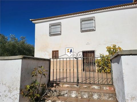 Situated close to Loja in the Granada province of Andalucia, Spain. A little of the beaten track this fantastic rural property is all about the views and tranquillity. Ideal for off grid living the property is currently not connected to mains water o...