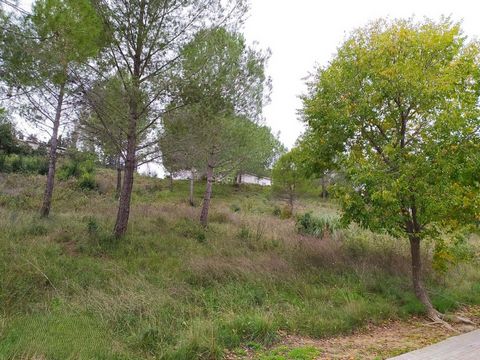 Unique Opportunity in Sant Llorenç d'Hortons! PLOT 9 Are you looking for the perfect place to build your dream home? We present to you a spectacular 437-square-meter building plot, located just 30 minutes from Barcelona. This charming plot is surroun...