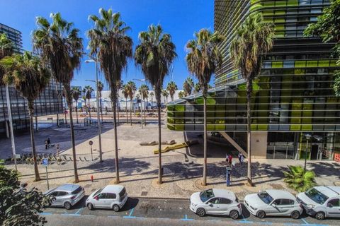 This cozy and welcoming studio is perfectly located in the heart of Las Palmas de Gran Canaria, offering a comfortable stay for couples or small groups. The open-plan design features a fully equipped kitchen, complete with modern appliances such as a...