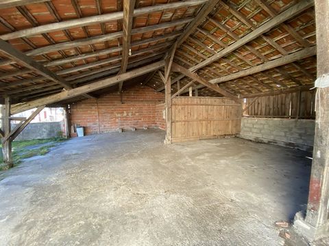photo no. 12