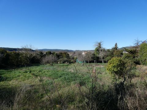 photo no. 1