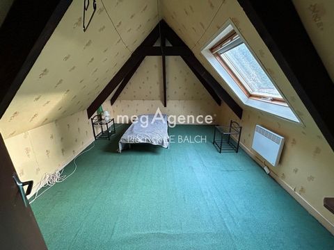 photo no. 8