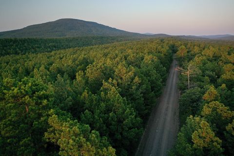 Packsaddle Creek is a 759.34-acre tract that borders over 340k acres of the Ouachita National Forest. This tract is primarily pine timber with a good mixture of hardwoods. The property is accessed by a county-maintained gravel road serving as the sou...