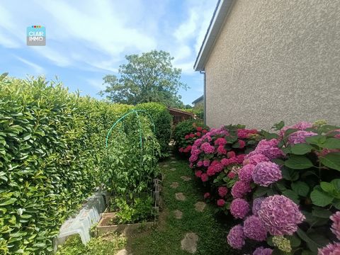 photo no. 11