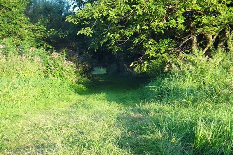 Dieses hochwasserfreie Holzhaus liegt idyllisch in einem Garten zur Alleinbenutzung, umrandet mit Hecke, an Moselwiesen + Moselradweg . Unverbaute Wiesen unter dem Häuschen, mit großen Bäumen bepflänzt. Man kann direkt über die Wiesen mit wenigen Sch...