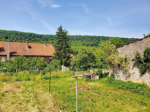 Maison Lorraine avec jardin et Garage