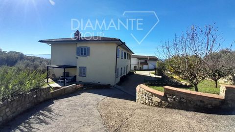 Castelframco Piandiscò (AR): Azienda agricola per allevamento avicolo con porzione di villa, capannoni, tensostrutture e terreno di 7 ettari circa, suddivisa in : - Porzione di villa con appartamento, ottimamente rifinito, di 160 mq circa a piano pri...