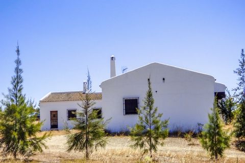 San Silvestre – Finca for sale in Spain San Silvestre – Finca for sale in Spain Finca in San Silvestre / Prov. Huelva. Typical Andalusian country house of approx. 250 m2 constructed surface, with a large porch of approx. 60m2. Large plot of about 442...