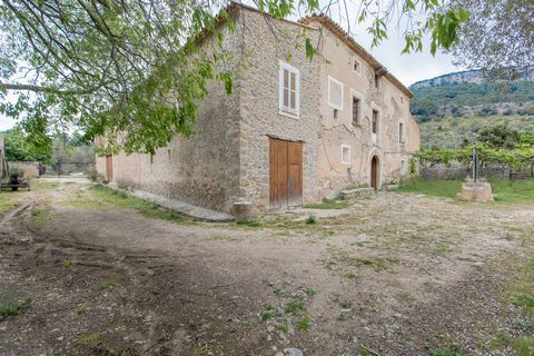 The estate has a large flat area on where the house is located and where you could have a large vineyard plantation, as well as a large almond grove and between 2,000-3,000 olive trees. The constructed buildings are in good condition although they ne...