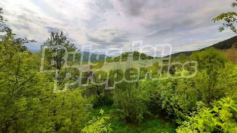 For more information call us at ... or 062 520 289 and quote the property reference number: VT 81735. Responsible broker: Dimitar Pavlov We offer a villa on rough construction in the village of Balabansko, just a few kilometers from Troyan. The build...
