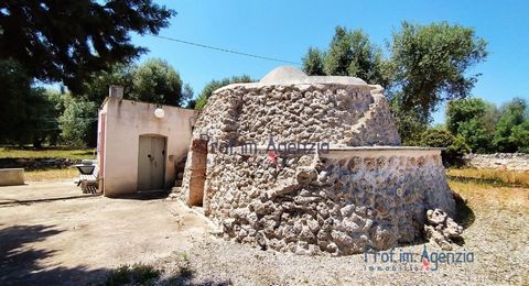 An interesting trullo with adjacent lamia for sale in the countryside of Carovigno, just 4 km from the town centre, with convenient and direct access from an asphalt road. The trullo is in excellent condition and consists of a single room with an alc...