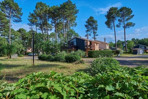 In the 54 ha. castle park there are about 100 luxury holiday homes. The houses and villas have a spacious garden, which, in addition to your peace and quiet, also guarantees your privacy, even in high season. In the garden, you will also find an outd...