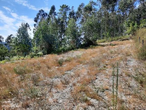 Land for construction with 900m2, near the center of the parish of Travassós, municipality of Fafe. It is close to EN 207, has good access and the sun exposure is excellent (facing south). Come and meet this excellent business where you can build the...
