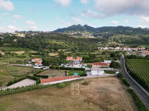 With around 1.1 ha of land, this estate has the potential for a tourist project of up to 600m2 of construction area. The contemporary-style main house has 4 bedrooms, plenty of natural light and direct views of the beautiful Sintra mountains. The pro...