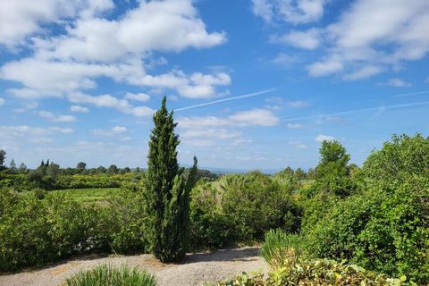 Esta villa de lujo se encuentra en Beaufort, en el sur de Francia y ofrece unas vistas impresionantes. En un terreno propio de aprox. 3000m², villa Rouqe Jalabert tiene una piscina privada climatizada y vistas fenomenales sobre los viñedos de Minervo...