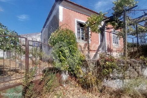 Meia Via is located between two major urban centers, Torres Novas and Entroncamento, less than five minutes from each city, here you can live or spend holidays in a wonderful farm with a total of 3000m2 that includes an urban area of 520m2 with a rui...