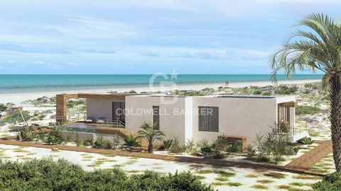 On the wonderful beaches of Turks and Caicos, one step away from the Caribbean sea, we offer for sale 18 villas in an exclusive village where well-being, relaxation and luxury come together. The villas have been designed with particular attention to ...