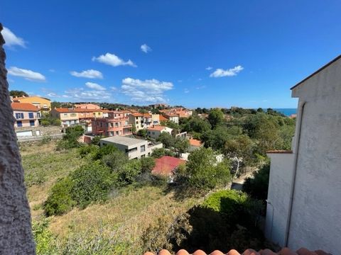 In Collioure, find this beautiful apartment with 2 bedrooms and a nice sunny terrace. If you want more information, you can contact Agence Paradise Collioure International Real Estate. The apartment has a 21m2 living area, a kitchen area and 2 bedroo...