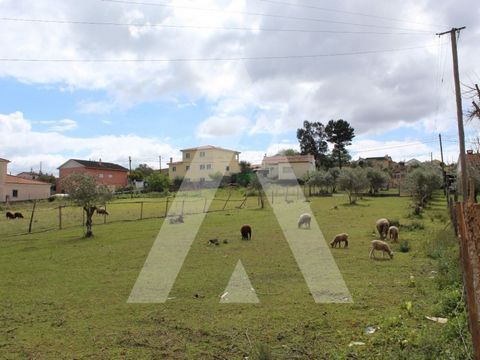 We present this magnificent opportunity to acquire a rustic land with the possibility of construction, located in a privileged area at the gates of the city of Leiria. With a total area of 1970m2, this land is situated in Vale do Horto, a stunning re...