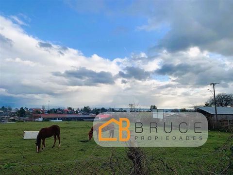 Welcome to a once-in-a-lifetime opportunity at Futrono! We are pleased to present you an exceptional urban site of 3,289 square meters for only UF 4,400 that is ready to become the perfect base for your dreams and projects. Located in a privileged en...