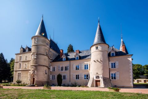 A 15 minutos de Vichy, magnífico castelo de 1100 m2 situado no coração da paisagem campestre de Bourbonnais. Venha descobrir esta propriedade histórica de tirar o fôlego, cujos elementos mais antigos remontam ao século XV; A casa foi remodelada e amp...