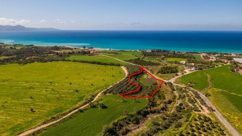 Located in Paphos. The land has active building permit for a two-story house (174 sq.m.) and it is 10000 sq.m. size. Not subject to VAT. The house can also be approved for a reduced rate of VAT if it is declared as a permanent residence under conditi...