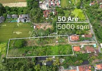 Nestled amidst the verdant landscapes of Bali’s cultural heartland, Ubud, this prestigious leasehold land presents an unparalleled opportunity to own a piece of paradise in one of the island’s most sought-after areas. Encompassing a vast expanse of 5...
