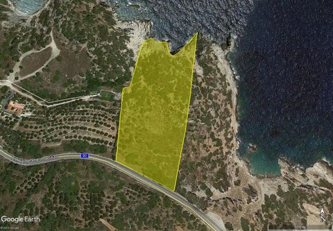 Located in Agios Nikolaos. This seafront plot is situated in a natural reserve area, facing a small island, near to the lovely tourist village of Istron, Kalo Horio, just 10 minutes drive from Agios Nikolaos. The plot is 15,239 m2, of which 12,380 m2...