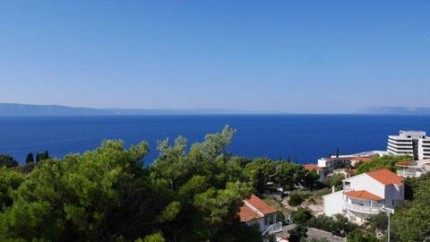 A modern recently built apartment house with four apartments, pool and fitness-hall is located on a nice location in a small town Podgora in Makarska area, just 200 meters from the sea! Popular touristic zone! You can see the sea from all the windows...