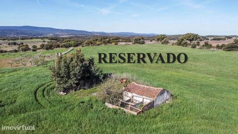 This property has an area of 4 ha of agricultural land and 2 ruins, one of them having 112m2 (housing) and another 57 m2 (agricultural casão). Construction of approved housing of 200m2. On the property there are 3 water holes and an old daughter-in-l...