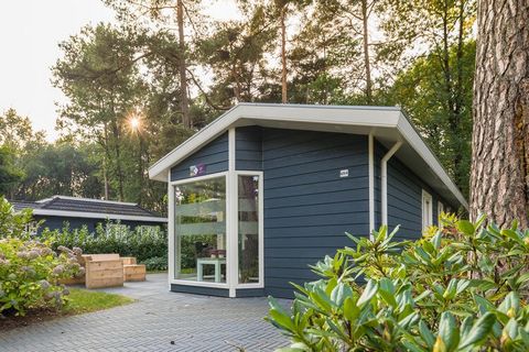 This detached, single-storey chalet is found in the wooded Landgoed Het Grote Zand holiday park, 1.5 km from the small town of Hooghalen. The lively provincial capital, Assen, is 11 km away. The comfortably furnished chalet has a living room with TV ...