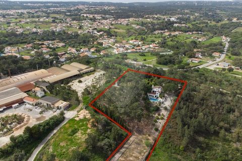 Description Farm, with a plot of 12,000m², in Castelo / Sesimbra. Just 40 minutes from Lisbon international airport, this beautiful farm has 310m² of gross area and 150m² of private gross area. LEASED UNTIL AUGUST It is the perfect place for those wh...