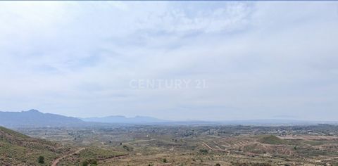 Rustikales Anwesen in der Gemeinde Abanilla (Murcia), im Bezirk Salado, Gebiet Los Charcos, heute La Cantina, identifiziert als Parzelle 132 von Polygon 8. Es hat eine eingetragene Fläche von 4.472 m2. Wenn Sie an diesem Grundstück interessiert sind,...