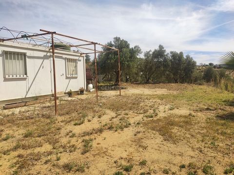 Rustic property of 8325 m2 in the Castellano area in Pizarra, the plot has 180 olive trees, the plot has a tool shed, with the possibility of electrical connection, water through the Guadalhorce canal. In compliance with the decree of the Junta de An...