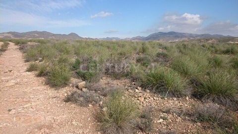 Are you looking to buy rustic land for sale in Lucainena de las Torres? We present you this excellent opportunity to acquire this property that has an area of 12,201 m². It has good access and is well connected. If you are interested, do not hesitate...