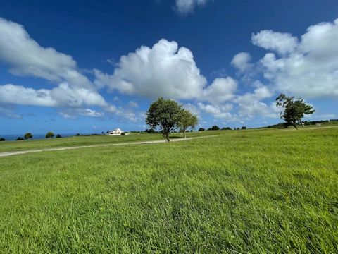 Located in Apes Hill. Apes Hill Club is a spacious development on 470 acres at the crest of Barbados where one can enjoy the true beauty of the island with panoramic views of both coasts. This lot sits just behind the green of the 6th hole, with fant...
