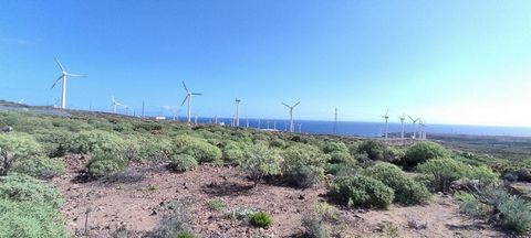 Se venden dos terrenos en la zona conocida como Mogán, en Arico, sur de Tenerife. Uno de los terrenos cuenta con una superficie de 12.593 m². El otro terreno cuenta con una superficie de 6.283 m². Ambos cuentan con vistas despejadas. Se encuentran a ...