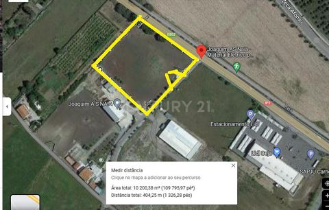 If you want to invest in BEJA with an excellent frontage of 100 meters and around 1 hectare of clean land next to the IP2 road, you have your opportunity here and now. Large commercial area. Industrial Warehouses, up to 5 or 6,000 m2! Retail Warehous...