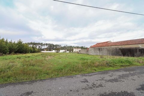 Terrain de 1340 m2, situé à Cova da Serpe, dans un quartier calme. Ce terrain rustique, avec 11 mètres de façade, se trouve dans une zone classée comme agglomérations rurales, il a donc la possibilité de construire une maison. À seulement 2 minutes d...
