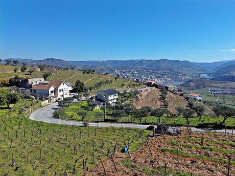 In the heart of the Douro wine-growing region, classified by UNESCO as a World Heritage Site in the cultural landscape category, lies Quinta do Vale das Dornas. Its perfect location, overlooking the River Douro, makes this property irresistible for b...