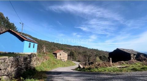 Petite ferme avec trois maisons en pierre, l’une d’entre elles déjà rénovée et les autres à rénover et plusieurs parcelles de terrain dispersées à côté de la maison avec environ 4400m2. Entre Santa Cruz da Trapa et Manhouce, depuis les maisons, vous ...