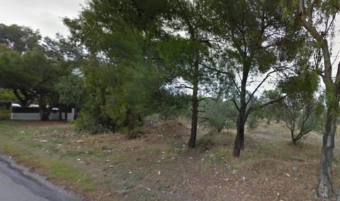 A plot of land of 800 square meters is available for sale in the area of Acharnon. This plot has 40 olive trees and is located on a busy road leading to Casino Month Parne. It is an excellent opportunity for those looking for a piece of land for agri...