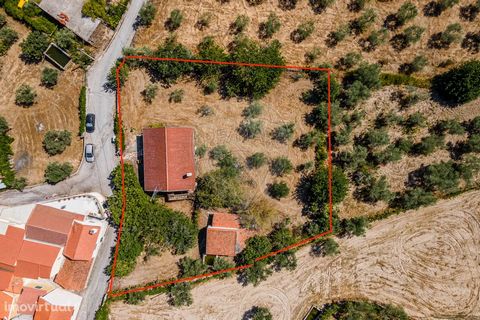 3 BEDROOM HOUSE READY TO MOVE IN, LOCATED IN THE PARISH OF BALDOS. The villa is located on a plot of land with an area of 1200m2. On the land there is also a well with water for irrigation and an annex for storing agricultural utensils. Single storey...