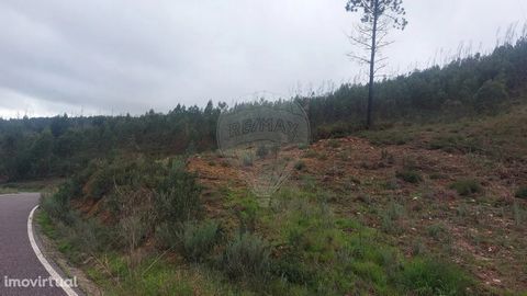 Land in Cliff, Mação Plot of forest land very well located, next to the municipal road. This land is populated with bush and pine trees. Slightly undulating terrain, but easy to access.