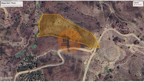Rustic land measuring 9920m2 on Rua de Cortelha, parish of Azinhal, municipality of Castro Marim. Land with 15 Olive Trees, 12 Almond Trees and 3 Fig Trees. Cortelha, in the parish of Azinhal, Castro Marim, is a charming rural area in the south of Po...
