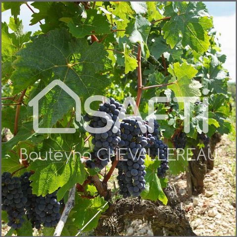 Nous vous proposons la vente de vignes et de terres AOC sur la commune de Civrac-Médoc. Un peu plus de 10ha de vignes plantées et un peu plus de 2ha de terres à planter. Le tout est attenant et en Appellation Médoc. Les informations sur les risques a...