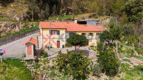 Villa met 4 slaapkamers gelegen in de parochie Rossas, gemeente Vieira do Minho. Deze woning ligt op een paar minuten van het centrum van de gemeente en is gelegen naast de Ermal-dam, op 20 minuten van Gerês en op 30 minuten van de stad Braga. De vil...